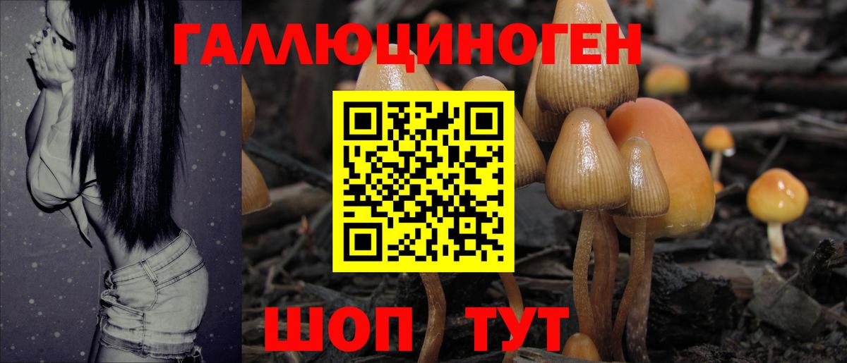 Псилоцибиновые грибы ЛСД Красноперекопск