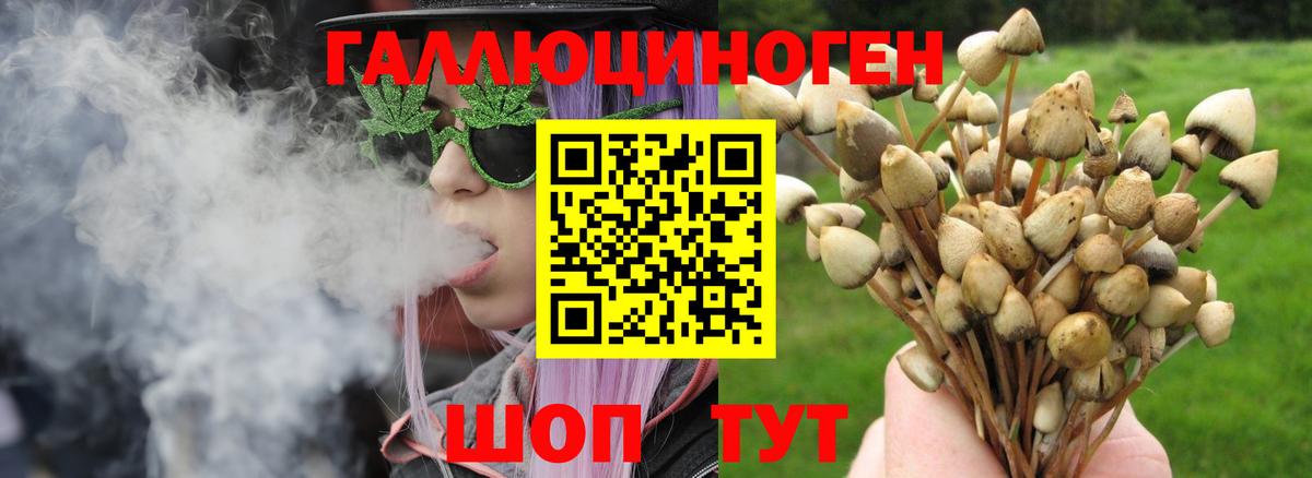 Псилоцибиновые грибы MAGIC MUSHROOMS  Псилоцибиновые грибы мухоморы  что такое   Вход с VPN  Красноперекопск 